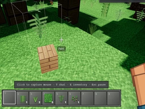 Voxel Frontier